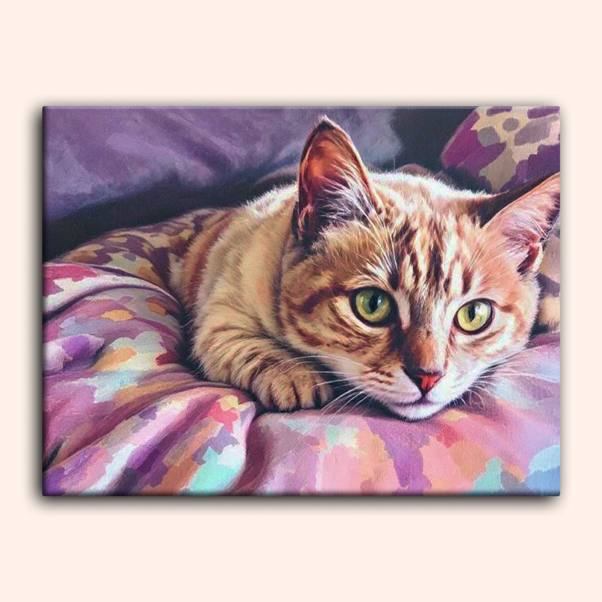 Paint by numbers - Lazy Cat - MyArt