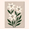 Lily Serenity