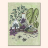 Magical Terrariums