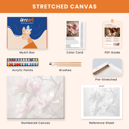 Paint by numbers - Magnolia Light - MyArt