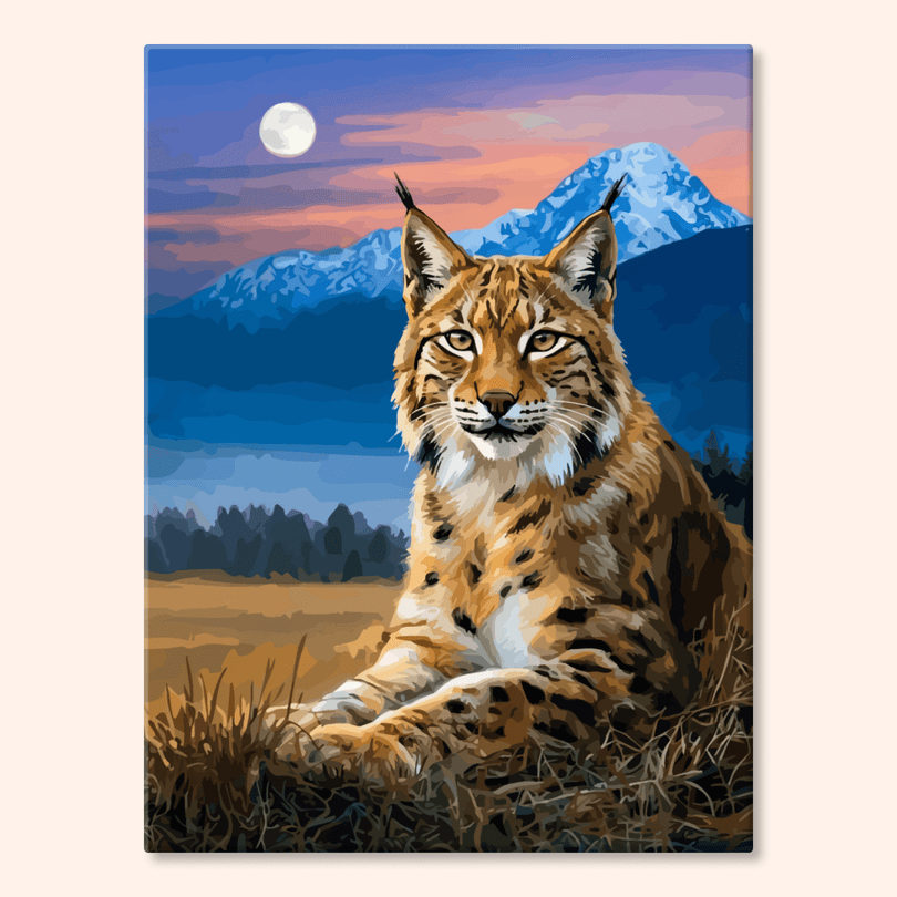 Paint by numbers - MyArt