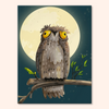 Moon and Owl