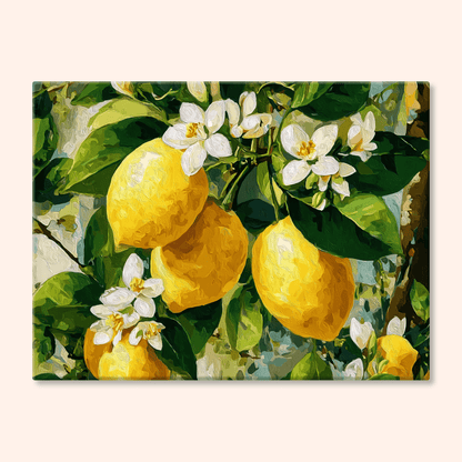 Paint by numbers - Morning Layers - MyArt