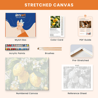 Paint by numbers - Morning Layers - MyArt