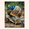 Moss Snail