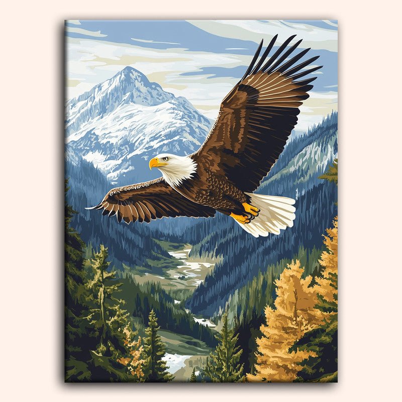 Paint by numbers - Mountain Flight - MyArt