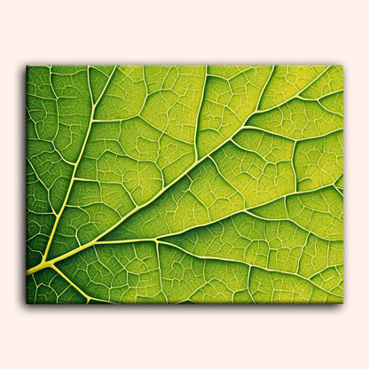 Paint by numbers - Nature - s - Geometry - MyArt
