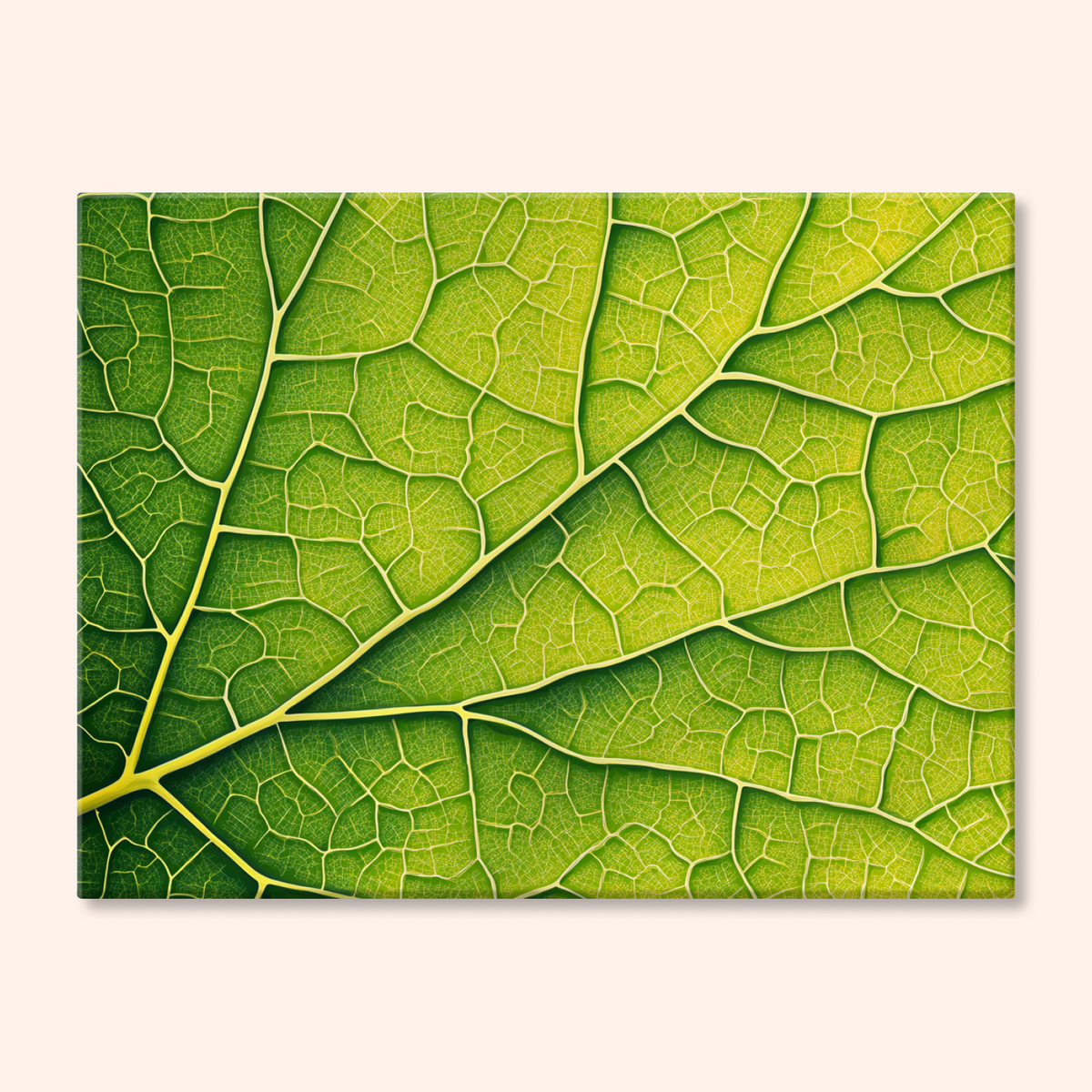 Nature-s-Geometry