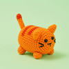 Pumpkin Kitty
