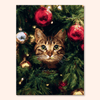 Ornament Peek