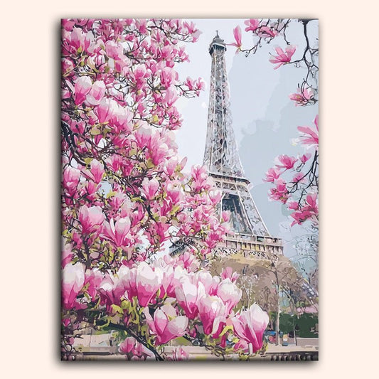 Paint by numbers - Paris Bloom - MyArt