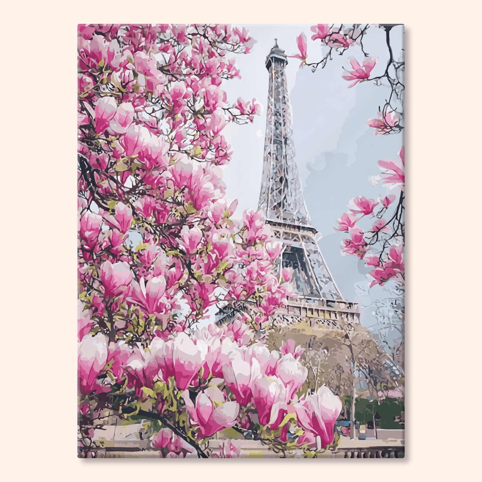 Paint by numbers - Paris Bloom - MyArt