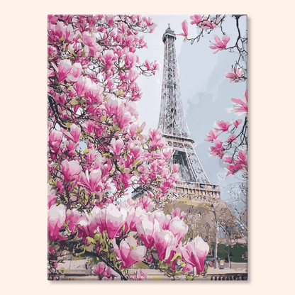 Paint by numbers - Paris Bloom - MyArt
