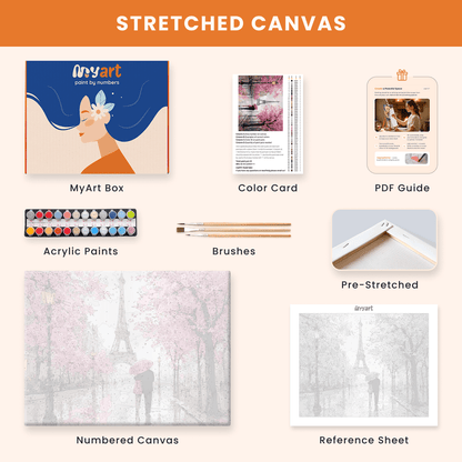 Paint by numbers - Paris Embrace - MyArt