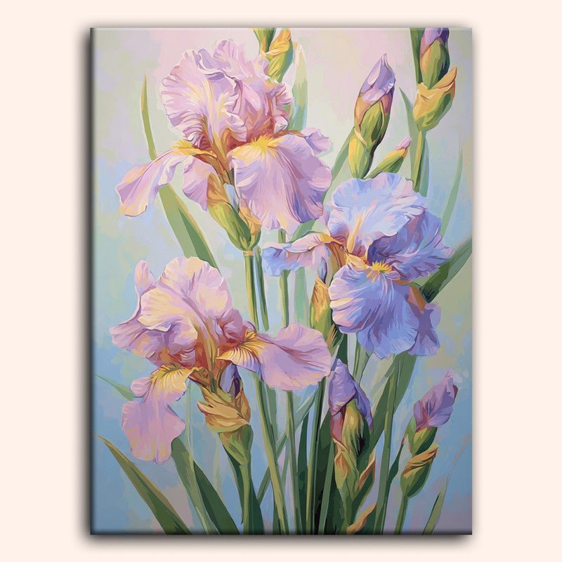 Paint by numbers - Pastel Iris - MyArt