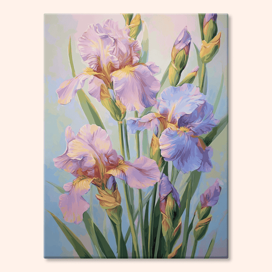 Paint by numbers - Pastel Iris - MyArt