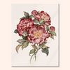 Peony