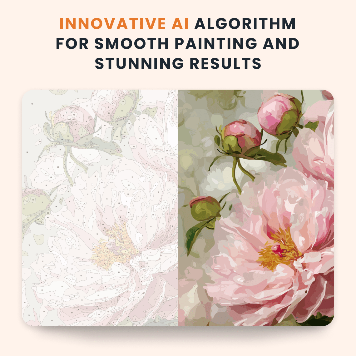 Paint by numbers - Peony Bloom - MyArt