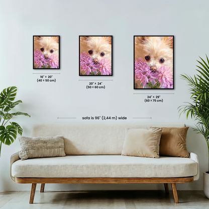 Petal Pomeranian