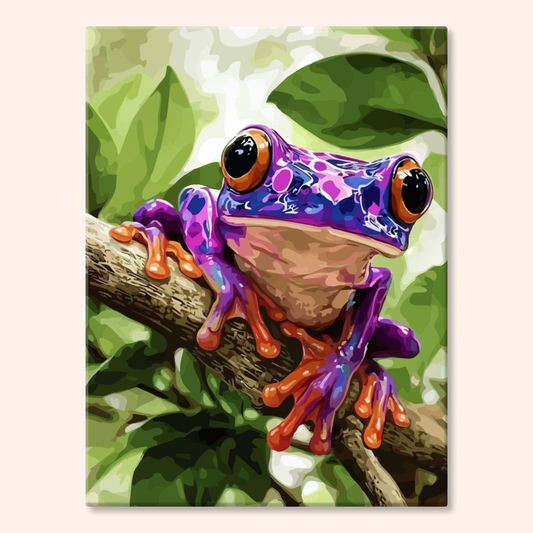 Pink Tree Frog