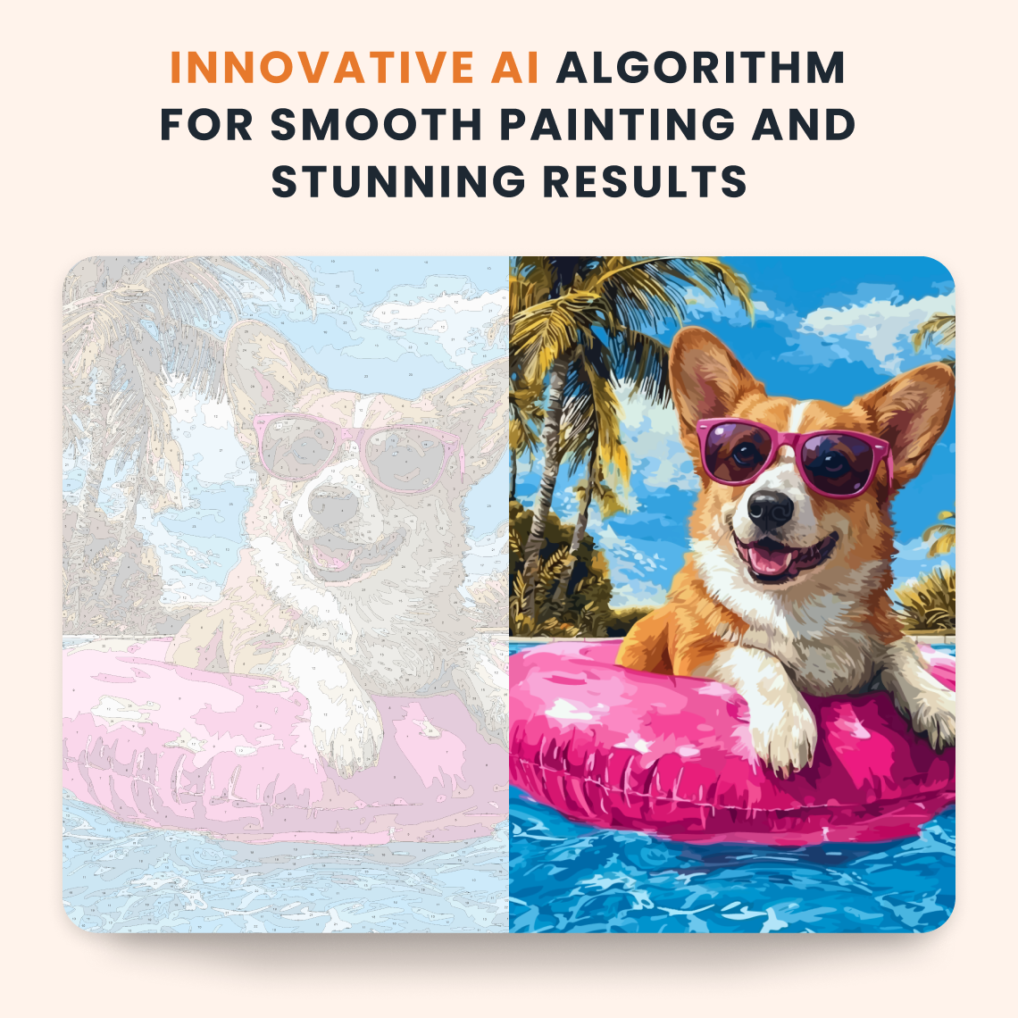 Pool Corgi