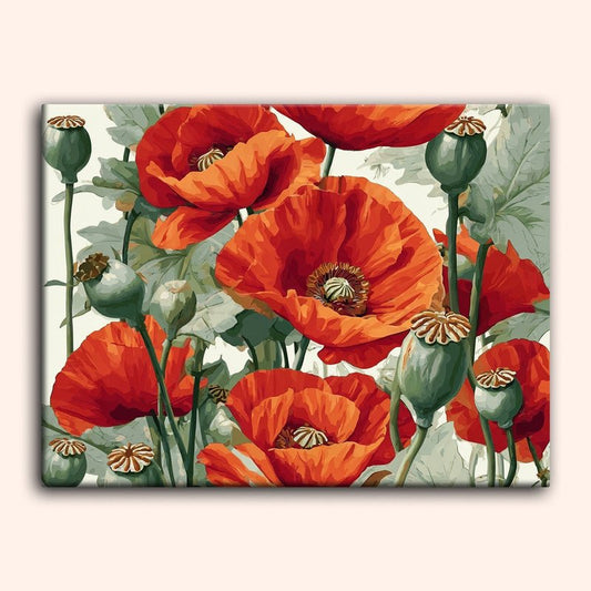 Paint by numbers - Poppy Garden - MyArt