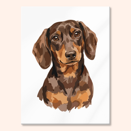 Portrait Dachshund