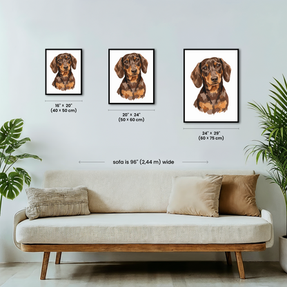 Portrait Dachshund