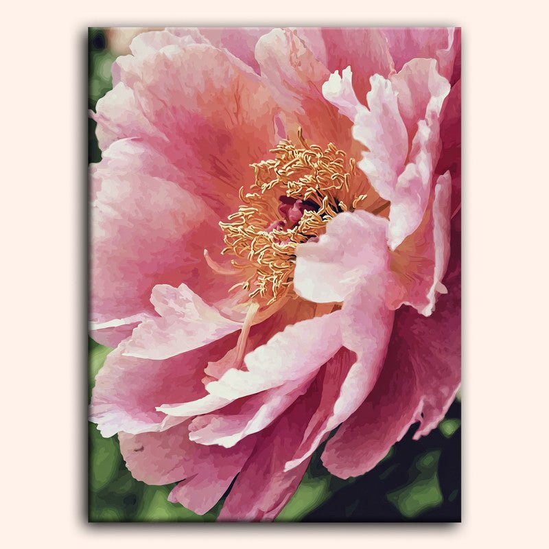 Paint by numbers - Quiet Florals - MyArt