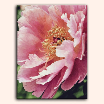 Paint by numbers - Quiet Florals - MyArt