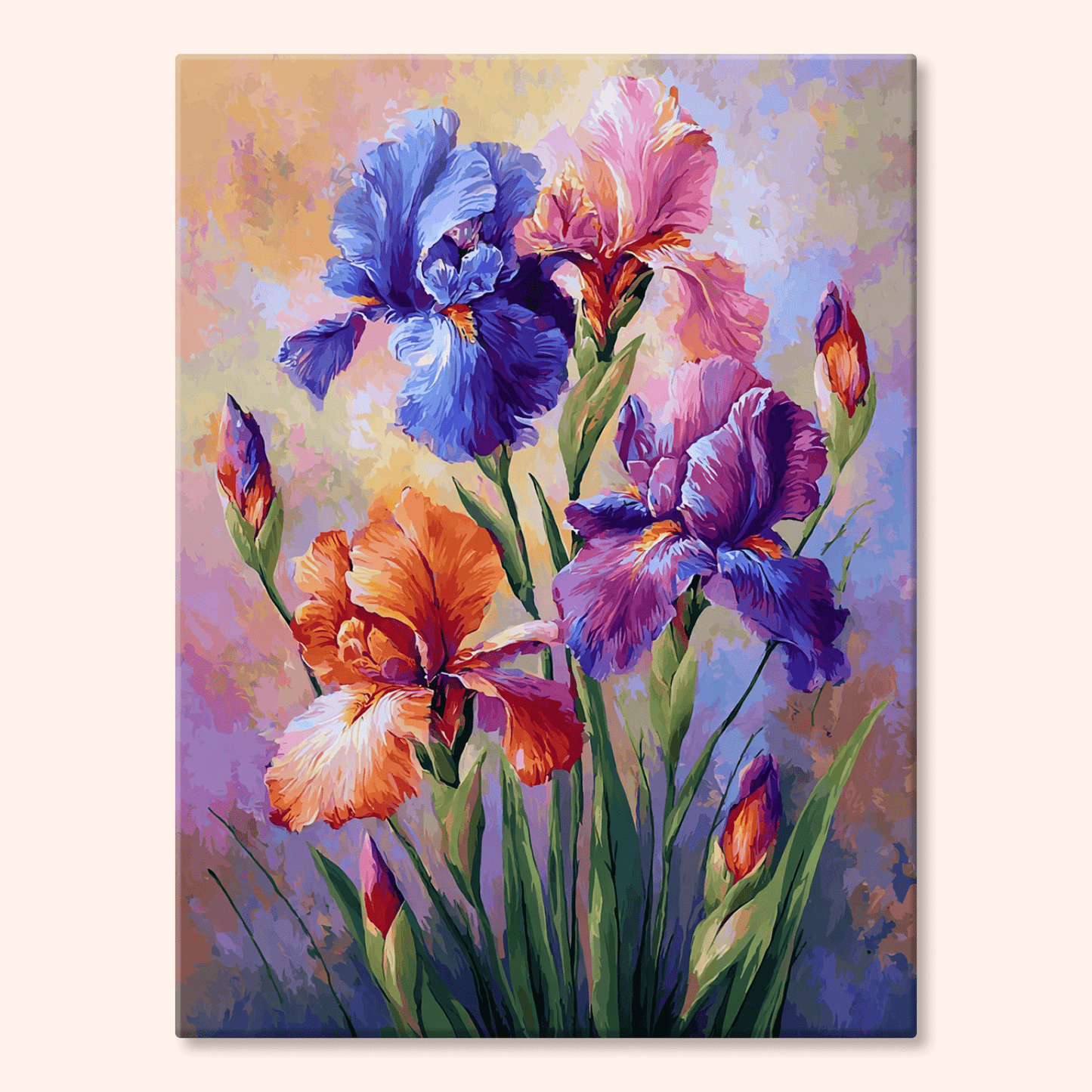 Paint by numbers - Rainbow Irises - MyArt