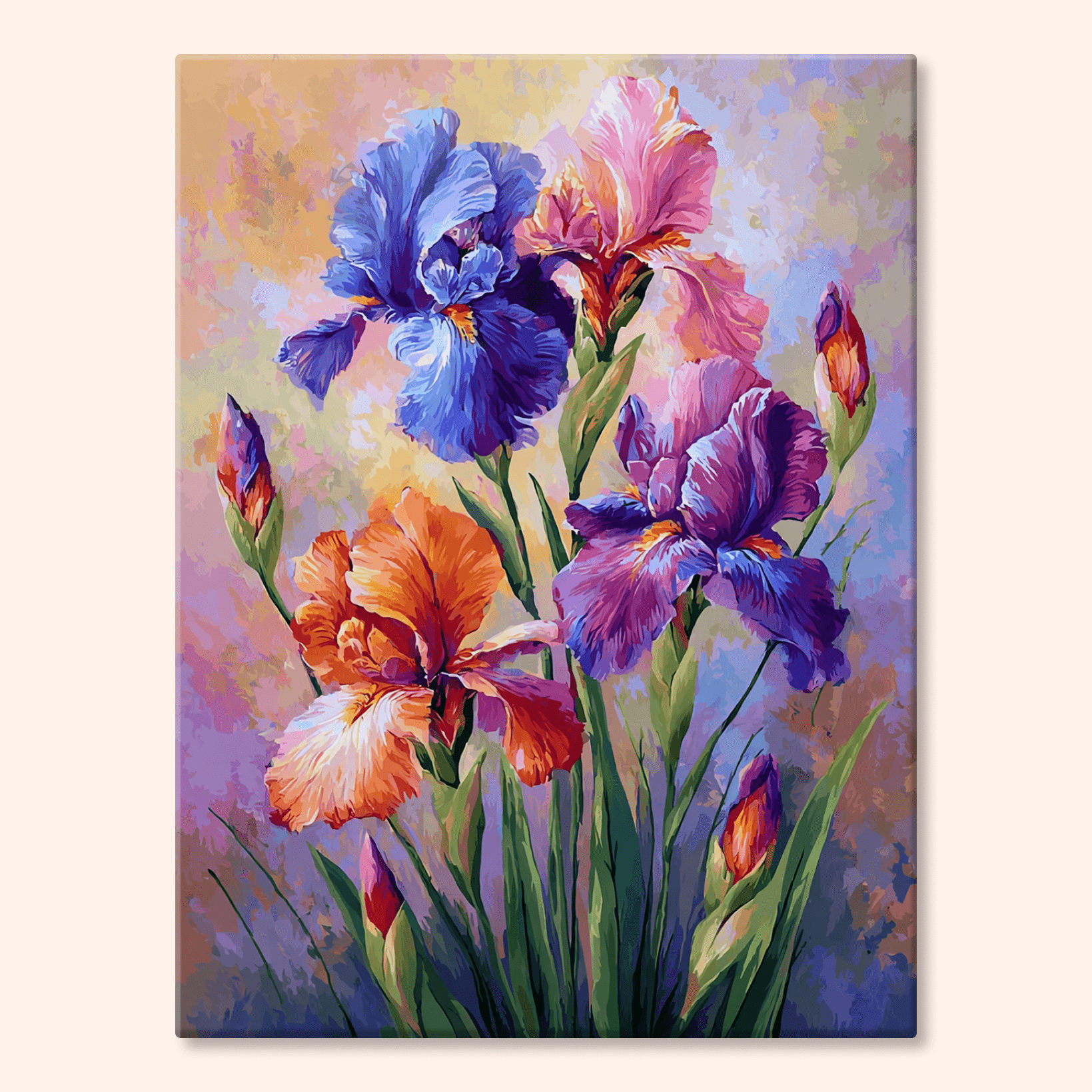 Paint by numbers - Rainbow Irises - MyArt