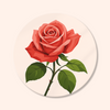 Red Rose