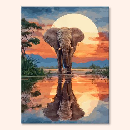Reflection Elephant