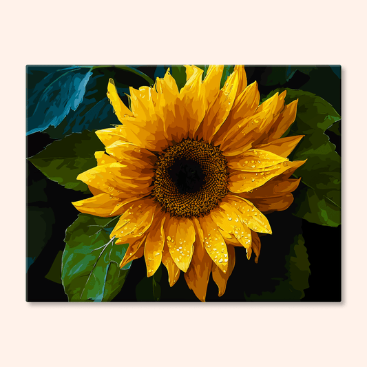 Paint by numbers - Regal Shine - MyArt