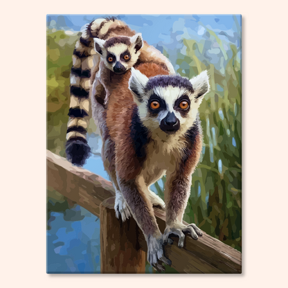 Ringtail Lemur