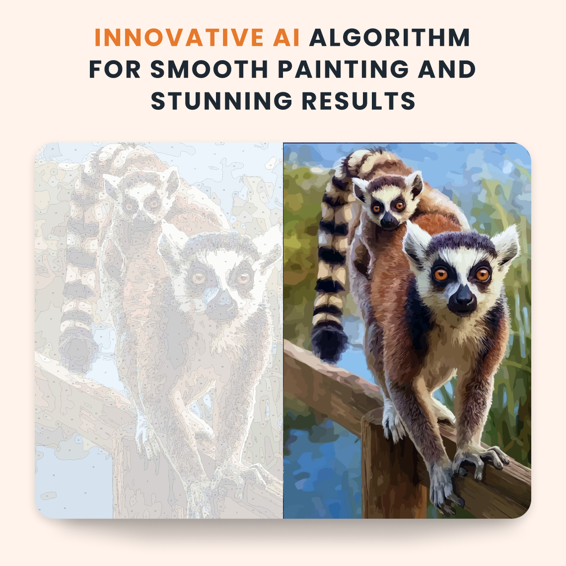 Ringtail Lemur