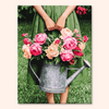 Rose Can
