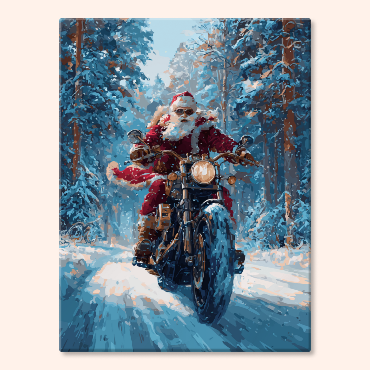 Santa Bike