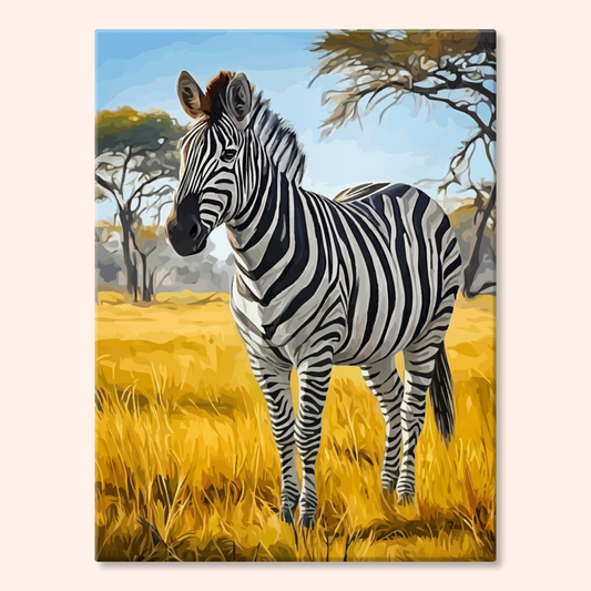 Savanna Zebra