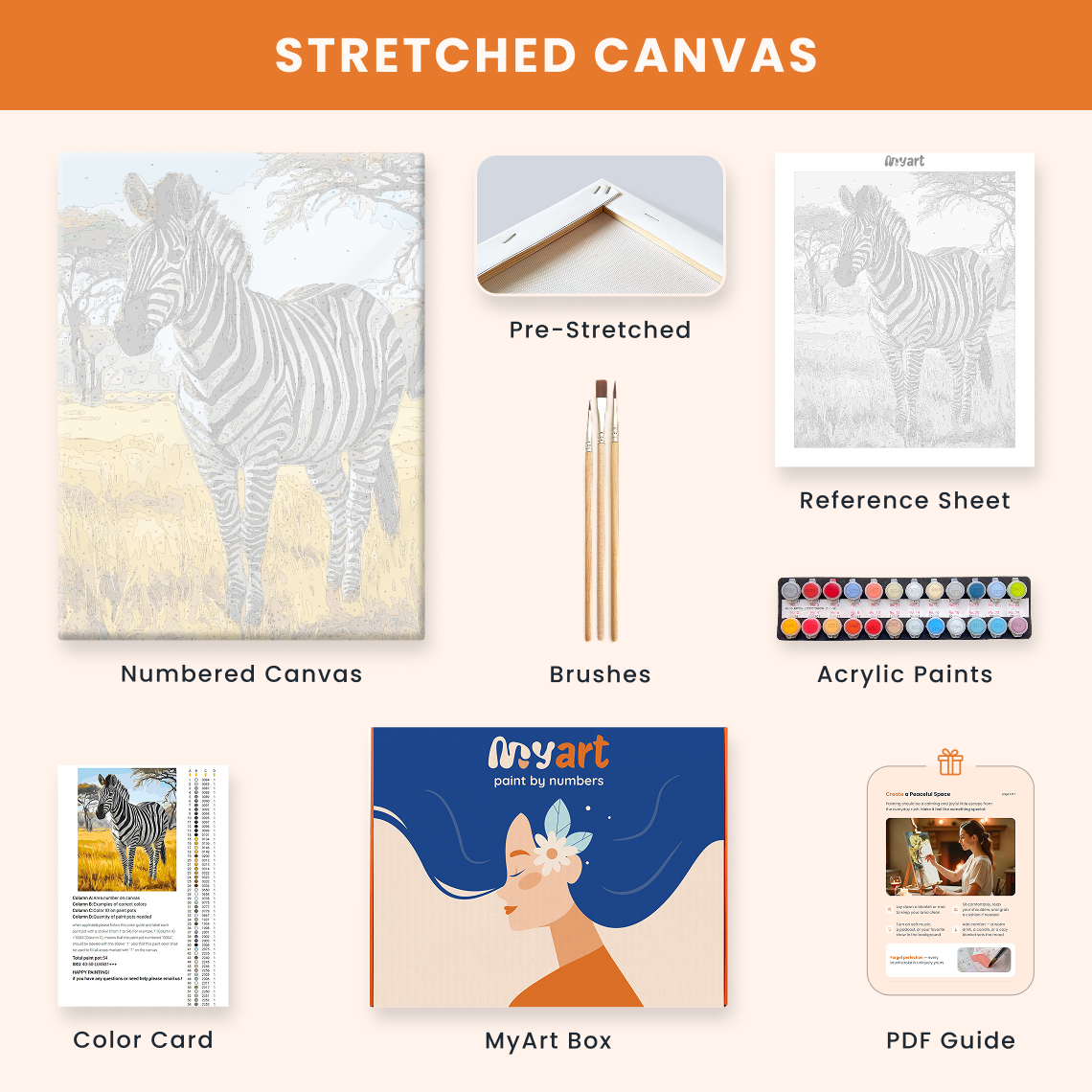 Savanna Zebra