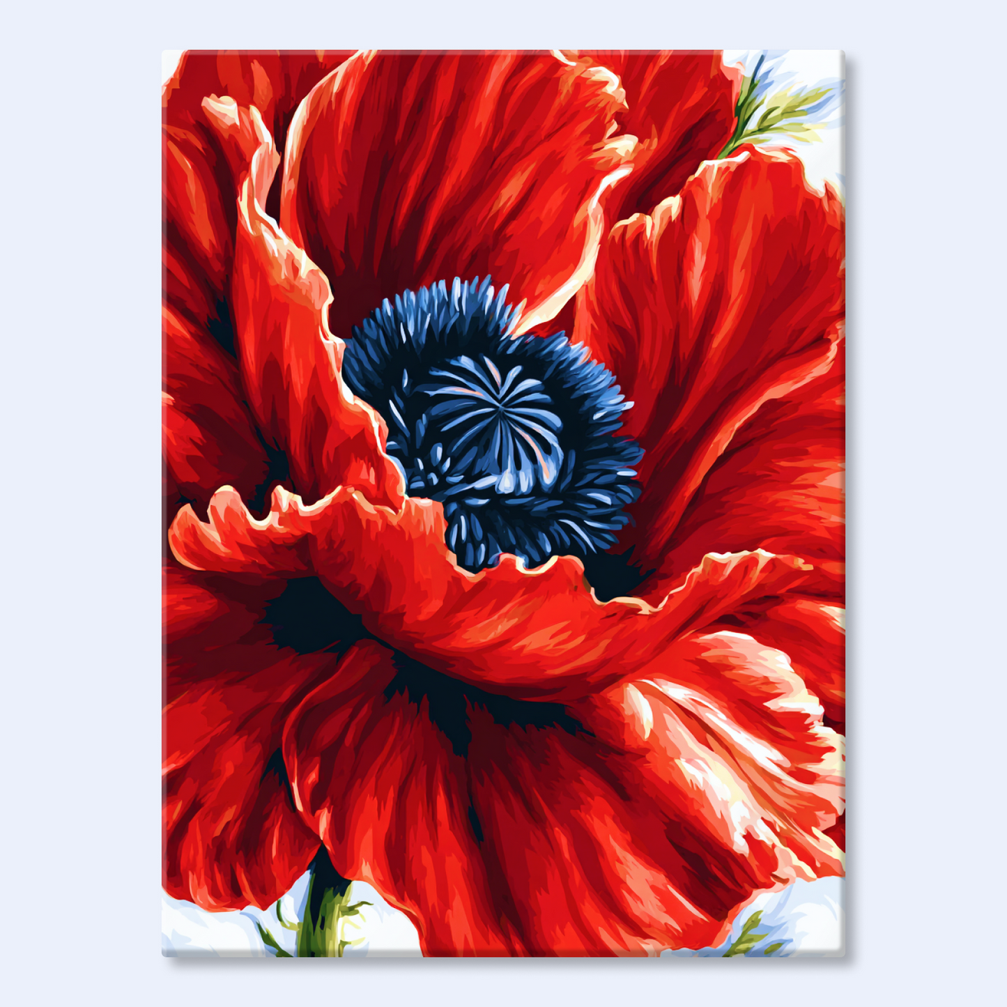Tulip Dance