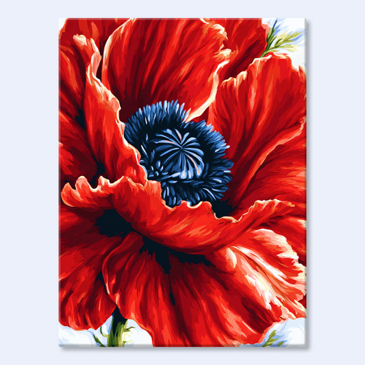 Tulip Dance