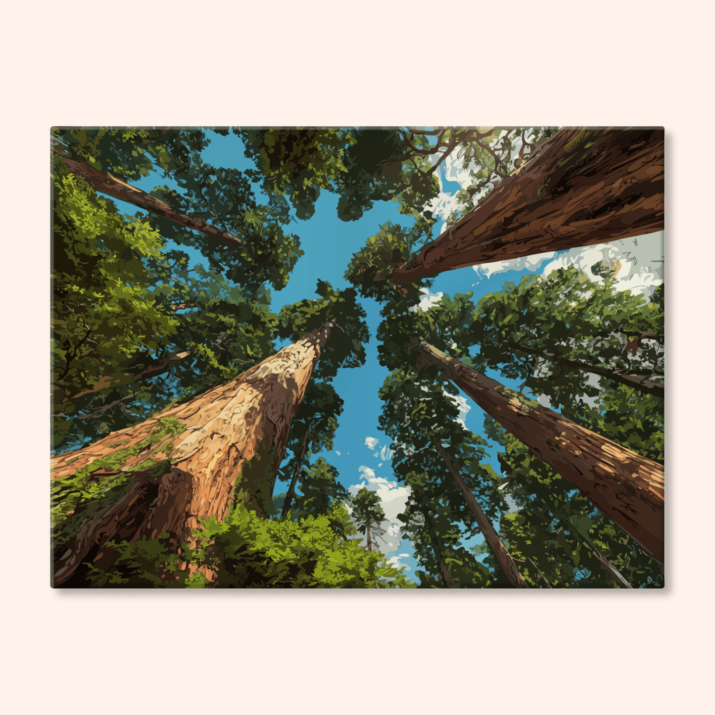 Paint by numbers - Sequoia Sky - MyArt