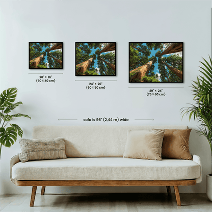 Paint by numbers - Sequoia Sky - MyArt