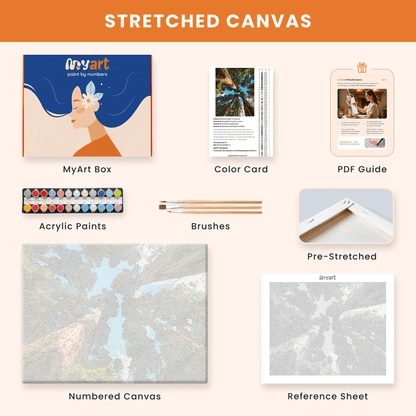 Paint by numbers - Sequoia Sky - MyArt