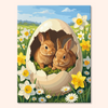 Shell Rabbits