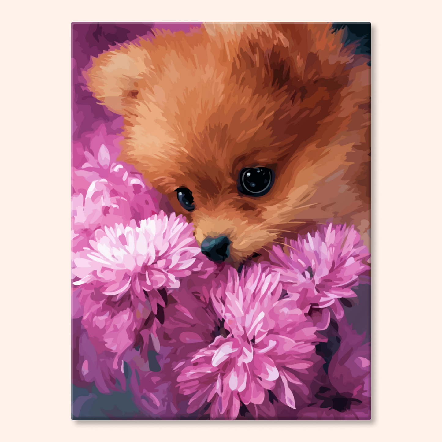 Shy Pomeranian