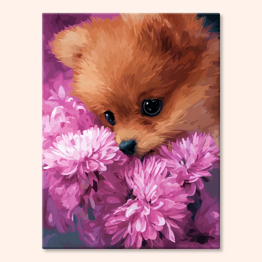 Shy Pomeranian