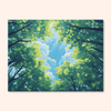 Sky Canopy